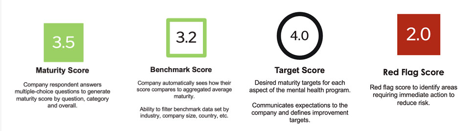 Five-point mental health maturity scale with four types of scores Five-point mental health maturity scale with four types of scores